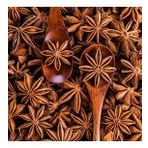 Naturel Anason Tohumu(100 adet)