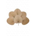 NATUREL DEKOR Bohem Palmiye Yaprağı, Japon Yelpazesi, Yatak Başlığı 6 ADET 55x70 cm, Duvar Dekorasyon, Duvar Süsü
