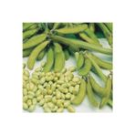 Naturel Tohum Soya Fasulye Tohumu (20 Adet Tohum)