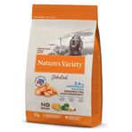 Natures Variety Norveç Somonlu Orta ve Büyük Irk Yetişkin 12 kg Köpek Maması