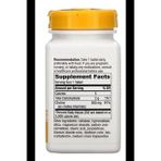 Nature's Way Choline 500mg (Kolin Nörotransmitter Brain Health) 100 Tablet. Usa Version 3532 (Renksiz)