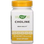 Nature’s Way Nature's Way Choline 500mg (Kolin Nörotransmitter Brain Health) 100 Tablet Usa Version