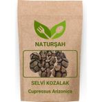 Naturşah Selvi Servi Kozalağı (Cupressus Arizonica) 100 gr