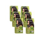 Naturtint 3N Koyu Kestane 6x170 ml Doğal Saç Boyası