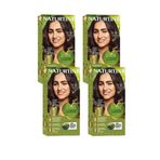 Naturtint 4G Altın Kestane Doğal 4x170 ml Saç Boyası
