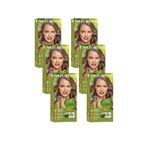 Naturtint 7N Fındık Sarısı Doğal 6x170 ml Saç Boyası