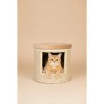 Navruz Metal El Işçiliği Premium Rattan Kedi Evi ve Puf - Pati Dostu Yıkanabilir Alüminyum Lüks Kedi Yatağı - Krem - Pudra