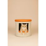 Navruz Metal El Işçiliği Premium Rattan Kedi Evi ve Puf - Pati Dostu Yıkanabilir Alüminyum Lüks Kedi Yatağı - Krem - Turuncu