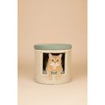 Navruz Metal El Işçiliği Premium Rattan Kedi Evi ve Puf - Pati Dostu Yıkanabilir Alüminyum Lüks Kedi Yatağı - Krem - Yeşil