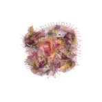 Naz Ipek Çiçekli Pamuklu Boncuklu Yazma 110cm X 110cm Pudra