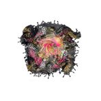 Naz Ipek Çiçekli Pamuklu Boncuklu Yazma 110cm X 110cm Siyah Pembe