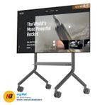 NB Ergonomic NB P100 75-90inch Profosyonel Tekerlekli TV Standı