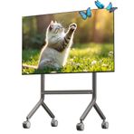 NB Ergonomic Tekerlekli mobil TV standı, maks. 90 inç (90 inç) ekran için, 68 kg'a kadar yük, TV arabası, yüksekliği ayarlanabilir, sessiz kaydırma tekerleğiyle | VESA 200 x 200 ila 800 x 600 mm P100
