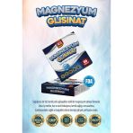 Ncs Magnezyum Glisinat 250 Mg Elementel 60 Tablet Bisgilisinat