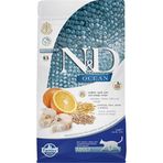 N&D 1.5 kg Ocean Morina Karides Balkabağı Kavun Yavru Kedi Maması
