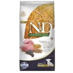 N&D Ancestral Grain 7 kg Kuzu Etli ve Yaban Mersinli Küçük Irk Tahıllı Yavru Köpek Maması