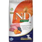 N&D Nd Pumpkin Tahılsız Bal Kabaklı Kuzu Etli Yaban Mersinli Küçük Irk Yavru Köpek Maması 2.5 kg - 1