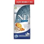 N&D Ocean 1 kg Balkabaklı Morina Balıklı Kavunlu Tahılsız Medium Maxi Yavru Köpek Maması