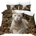 NDXRWDZR King Size Nevresim Takımı Haki Kedi Nevresim Takımı Fermuarlı Nevresim Takımı Aldults Çocuklar için Yumuşak Hipoalerjenik Mikrofiber Yorgan Kılıfı 230x220 cm + 2 Yastık Kılıfı 50x75 cm