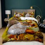 NDXRWDZR King Size Nevresim Takımı Kahverengi Sincap Nevresim Fermuarlı Yatak Seti Aldults Çocuklar için Yumuşak Hipoalerjenik Mikrofiber Yorgan Kılıfı 230x220 cm + 2 Yastık Kılıfı 50x75 cm