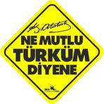 Ne Mutlu Türküm Diyene - Emine Işınsu