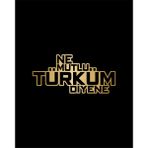 Ne Mutlu Türküm Diyene Sticker Araba Oto Motosiklet Karavan Etiket 02108 - 15x7 Cm - Altın