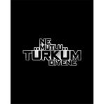Ne Mutlu Türküm Diyene Sticker Araba Oto Motosiklet Karavan Etiket 02108 - 40x19 Cm - Krom