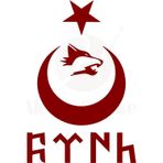 Ne Verelim Size Ay Yıldız Kartal Göktürkçe Türk Oto Özel Sticker Kırmızı 40*26 Cm