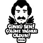 Ne Verelim Size Çünki Sen Çölüme Yağmur Oldun Oto Cam Özel Sticker Siyah 20*17 Cm
