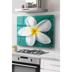Ne Verelim Size Ocak Arkası Cam Koruyucu Tezgah Ankastre Arkası Koruyucu | Plumeria Çiçek Desenli