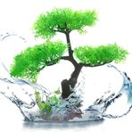 Neamou Balık Tankı Ağacı - Yapay Akvaryum Bitkileri - Akvaryum Kayaları, Bitki Japon Balığı Su Manzarası Balık Ağacı, Akvaryum Bitkileri Dekorasyonu, Balık Tankı Dekoru için Aksesuarları Gizler