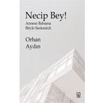 Necip Bey! - Annem Babama Böyle Seslenirdi - Orhan Aydın