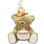 Neco Toys 55 cm Plush Oturan Pastalı Ayı Oyuncak