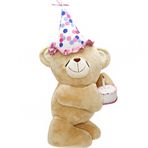 Neco Toys Yandan Bakışlı Pastalı Ayı 55 cm Oyuncak