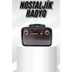 Nemere İthalat Müzik Kutusu Bluetooth Bağlantılı El Fenerli Nostaljik Tasarım Radyo Nemere Ithalat - Çok Renkli