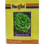 Neobi Arapsaçı Kıvırcık Marul Tohumu 10 Gr 2Ad