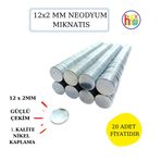 Neodyum Mıknatıs Nikel Kaplama 12 Mm X 2 Mm 20 Adet Fiyatıdır