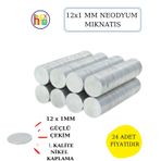 Neodyum Mıknatıs Nikel Kaplama 12mm X1 Mm 24 Adet Fiyatıdır