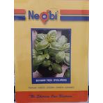 Neomi Neobi Yeşil Feslegen Tohumu 1 Gr