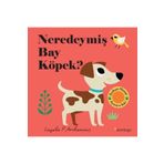 Neredeymiş Bay Köpek? - Domingo Yayınevi