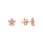 Nereze 925 Ayar Rose Kaplama Minimal Kartanesi Gümüş Küpe