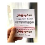 Nergis Collection Marteniçka Dilek Şans Bilekliği 10 Lu Paket