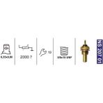 Nesan NS20701 Fan Müşiri