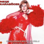 Neşe Karaböcek - Yeşilçam'dan Seçmeler Vol.1 / Sevda Yolu (Plak)