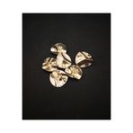 NESGO MODA AKSESUARLARI VE TEKSTİL DIŞ TİCARET Z.A.R.A Özel tasarım 6lı gold üzeri kabartma detay büyük düğme seti(2.8cm)