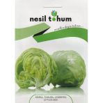 Nesıl Iceberg Marul Tohumu 1000 Adet