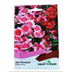 Nesil Tohum Çin Karanfili Tohumu 100 Adet