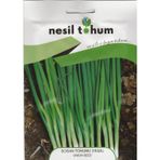 Nesil Yeşil Soğan Tohumu 5 GRam