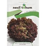 NesilMarul Tohumu Kırmızı Kıvırcık 3 GR