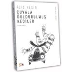 Nesin Yayınevi Çuvala Doldurulmuş Kediler : Bir Dokun Bin Dinle : Bir Vicdan Davası - Hayır